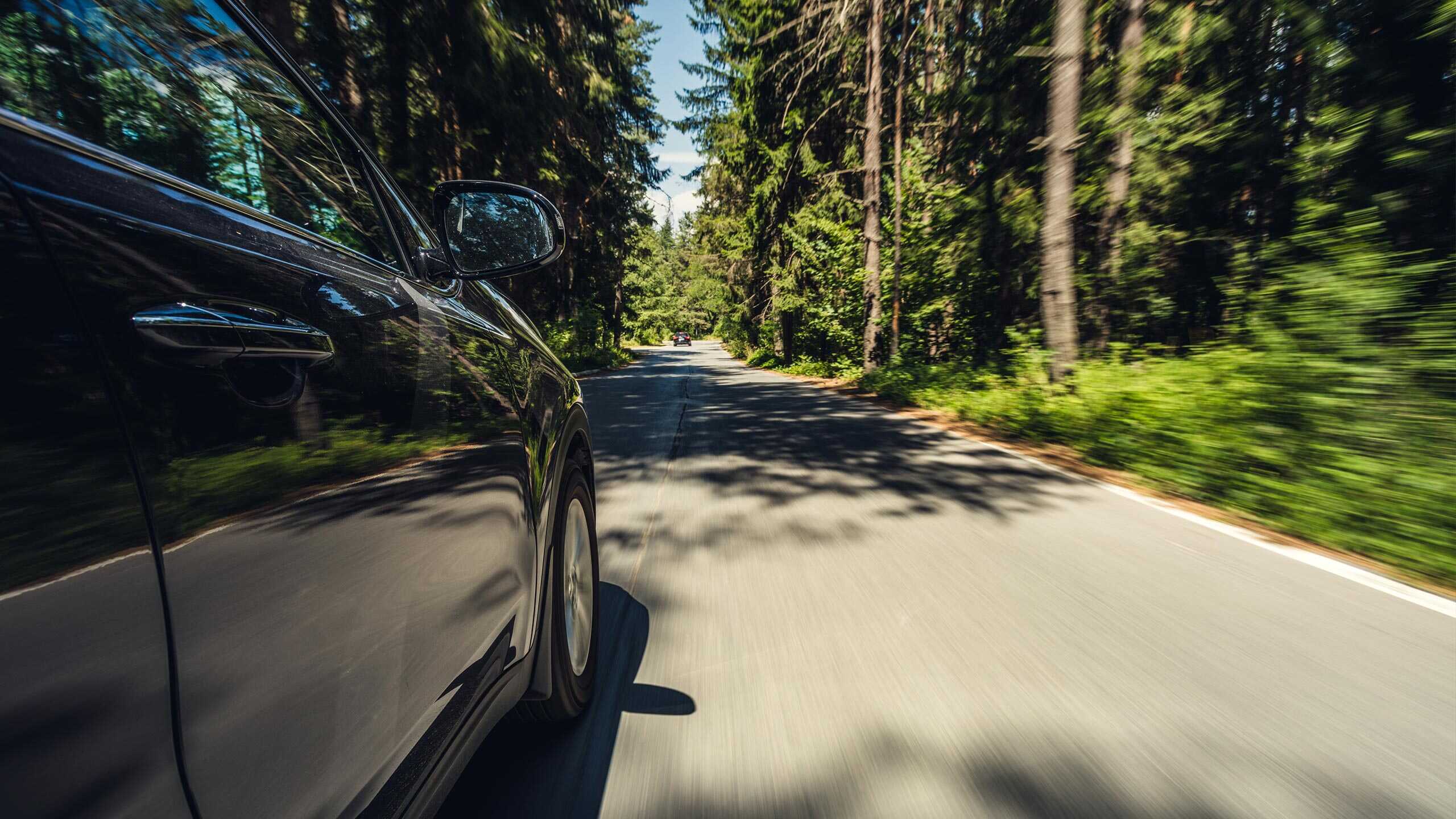Eksosanlegget av en svart bil på en skogsbekkert landevei, illustrerer kjøreopplæring og trafikksikkerhet i naturskjønne omgivelser.